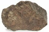 Chondrite Meteorite ( g) - Western Sahara Desert #232949-1